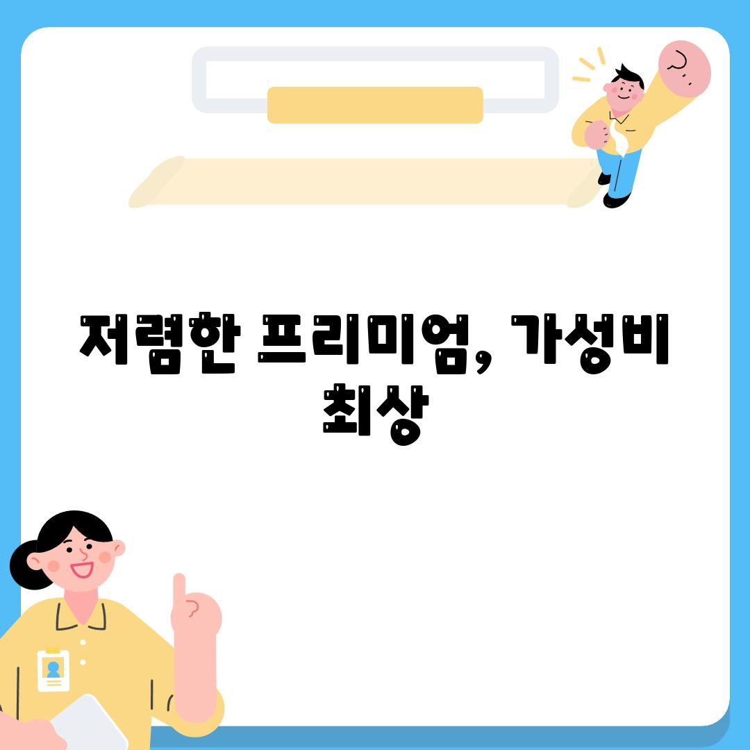 저렴한 프리미엄, 가성비 최상