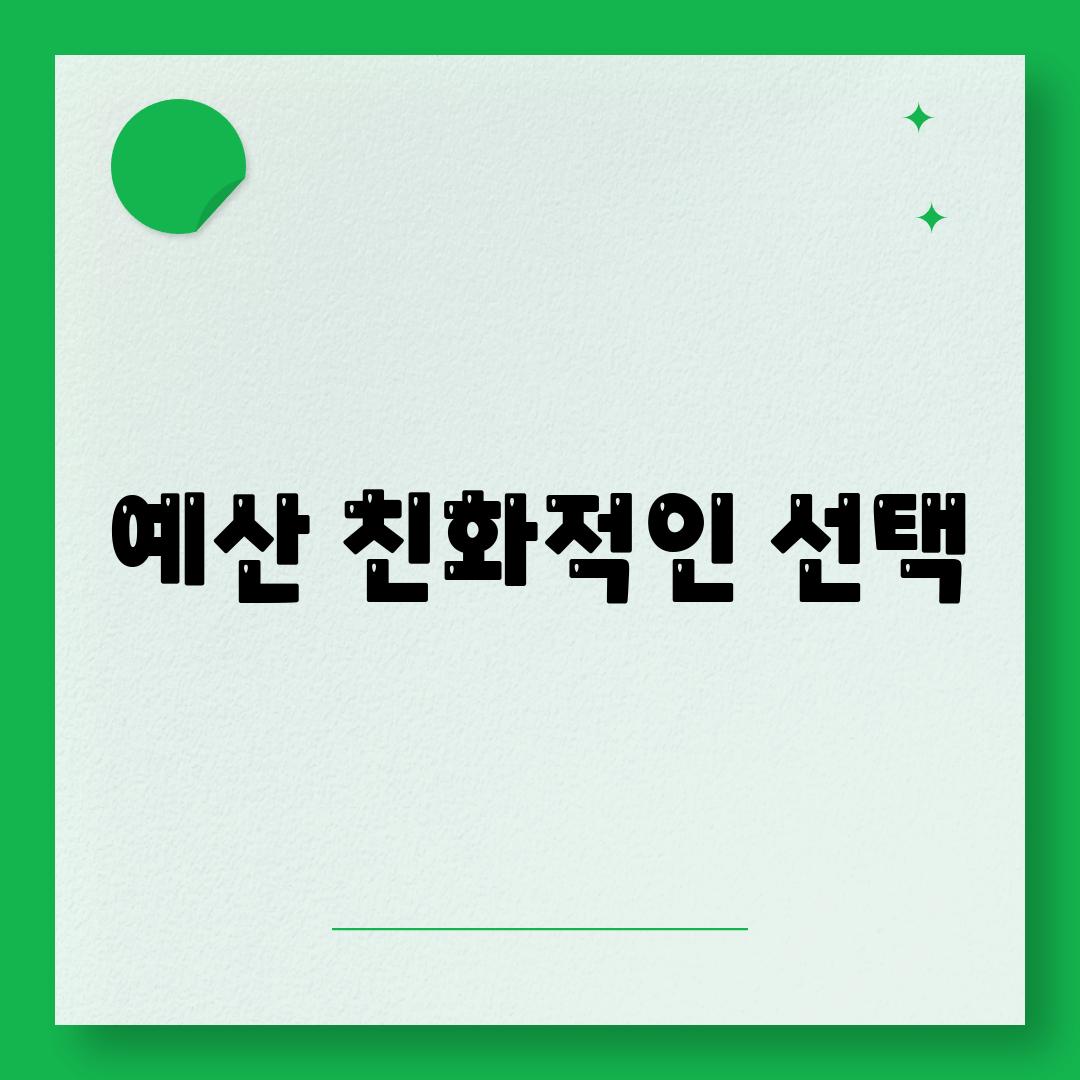 예산 친화적인 선택