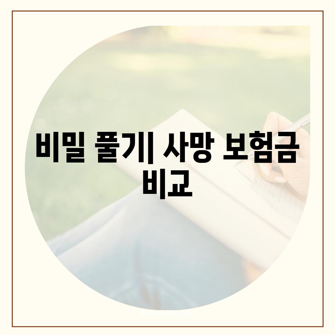 비밀 풀기| 사망 보험금 비교