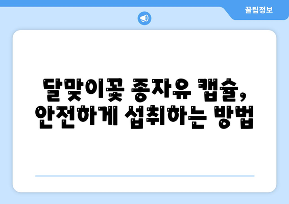 달맞이꽃 종자유 캡슐