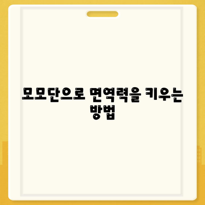 모모단 효능