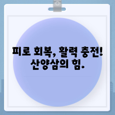 산양삼 효능