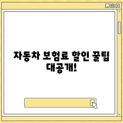 자동차 보험료 추천