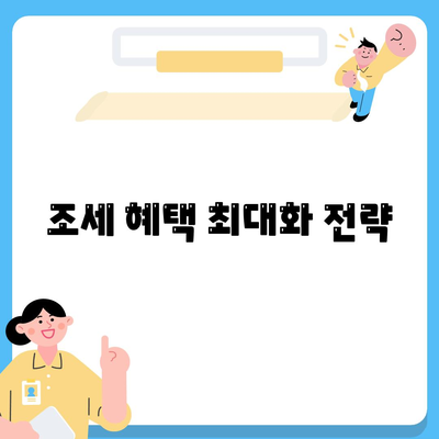 조세 혜택 최대화 전략