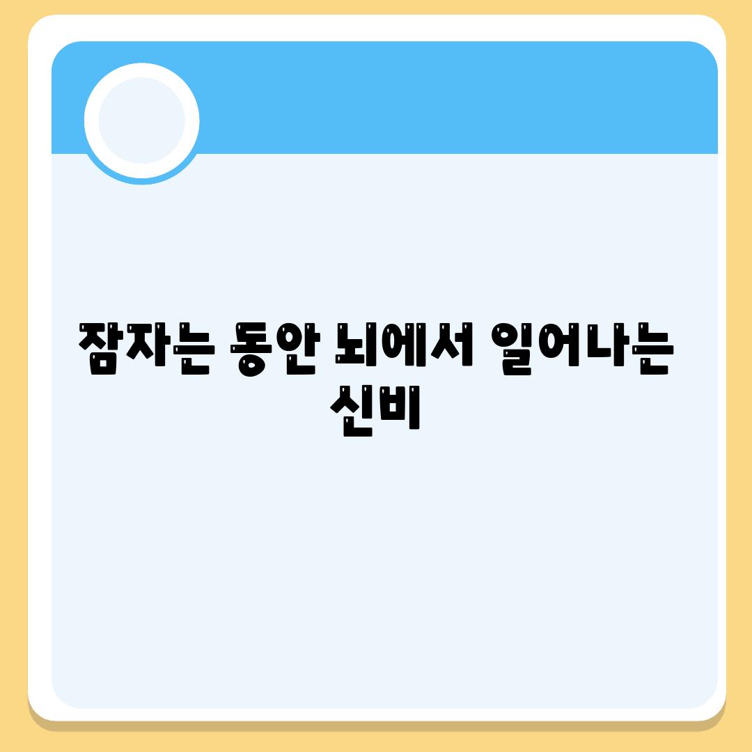 잠자는 동안 뇌에서 일어나는 신비