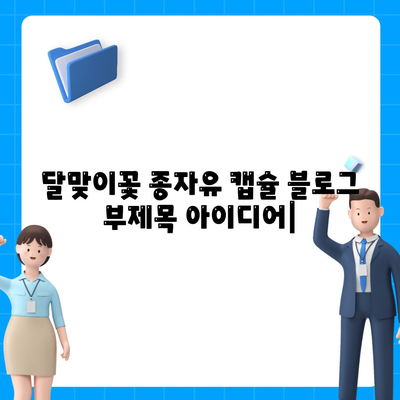 달맞이꽃 종자유 캡슐