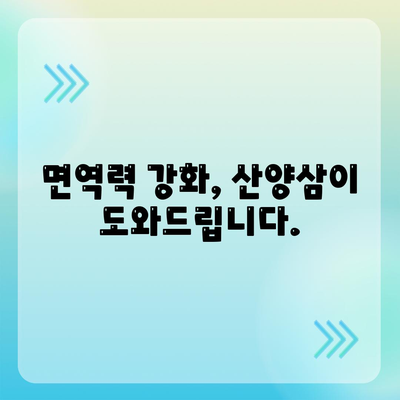 산양삼 효능