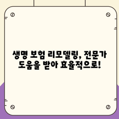 생명 보험 리모델링