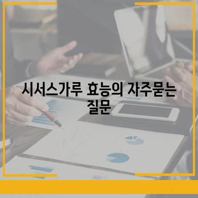 시서스가루 효능