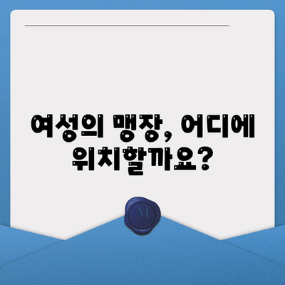 여자 맹장 위치