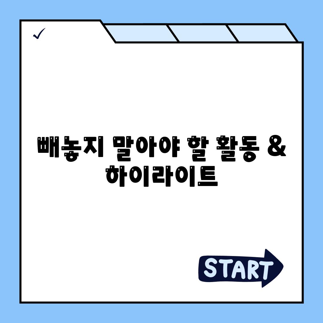 빼놓지 말아야 할 활동 & 하이라이트