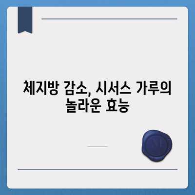 시서스가루 효능