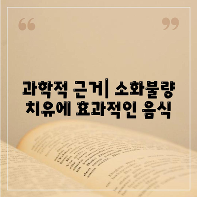 과학적 근거| 소화불량 치유에 효과적인 음식