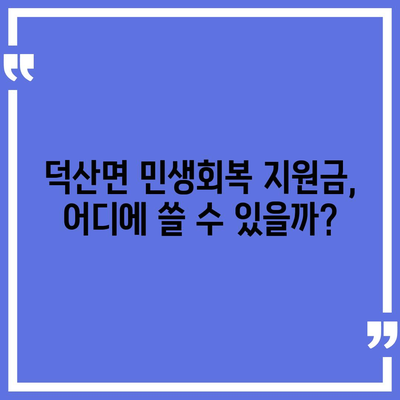 충청북도 제천시 덕산면 민생회복지원금 | 신청 | 신청방법 | 대상 | 지급일 | 사용처 | 전국민 | 이재명 | 2024