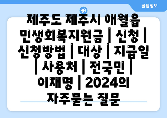 제주도 제주시 애월읍 민생회복지원금 | 신청 | 신청방법 | 대상 | 지급일 | 사용처 | 전국민 | 이재명 | 2024