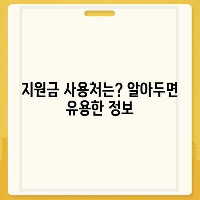 서울시 동대문구 이문제1동 민생회복지원금 | 신청 | 신청방법 | 대상 | 지급일 | 사용처 | 전국민 | 이재명 | 2024