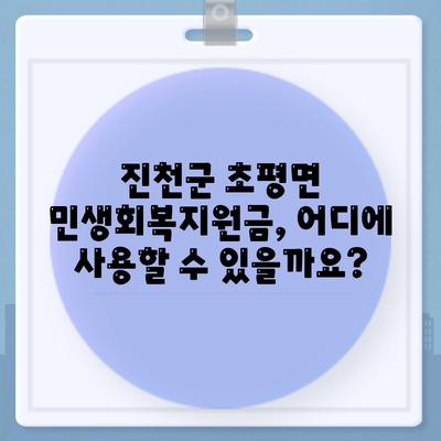 충청북도 진천군 초평면 민생회복지원금 | 신청 | 신청방법 | 대상 | 지급일 | 사용처 | 전국민 | 이재명 | 2024