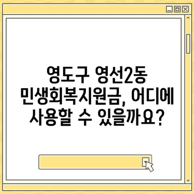 부산시 영도구 영선2동 민생회복지원금 | 신청 | 신청방법 | 대상 | 지급일 | 사용처 | 전국민 | 이재명 | 2024