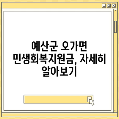 충청남도 예산군 오가면 민생회복지원금 | 신청 | 신청방법 | 대상 | 지급일 | 사용처 | 전국민 | 이재명 | 2024