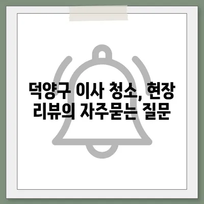 덕양구 이사 청소, 현장 리뷰