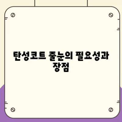 이사청소 전 탄성코트 줄눈 시공 안내