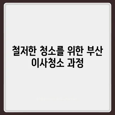 부산 이사청소 업체의 철저한 청소 서비스