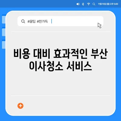 부산 이사청소 업체의 철저한 청소 서비스