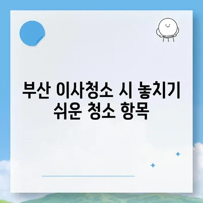 부산 이사청소 업체의 철저한 청소 서비스