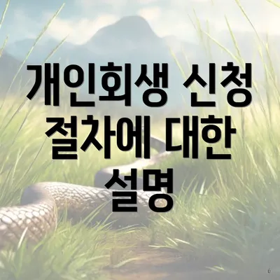 개인회생 신청 절차에 대한 설명