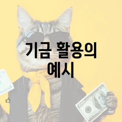 기금 활용의 예시