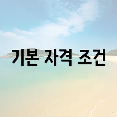 기본 자격 조건