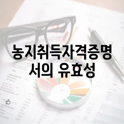 농지취득자격증명서의 유효성