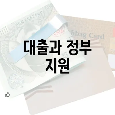 대출과 정부 지원