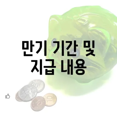 만기 기간 및 지급 내용