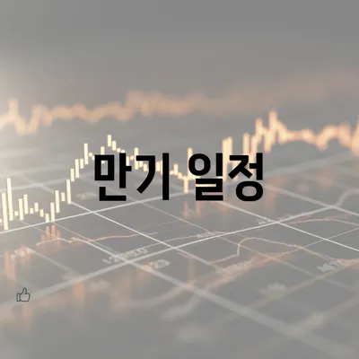 만기 일정