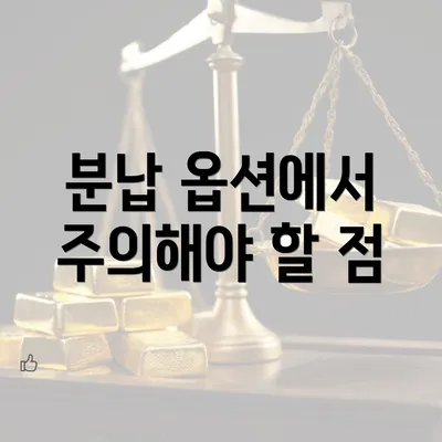 분납 옵션에서 주의해야 할 점