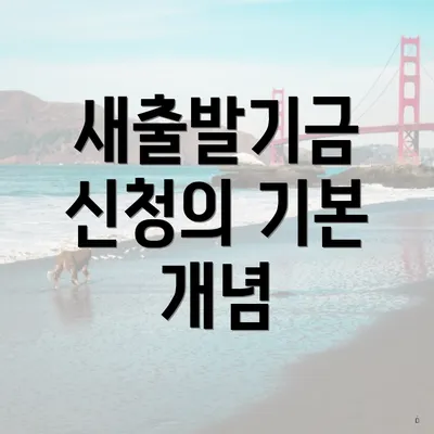 새출발기금 신청의 기본 개념