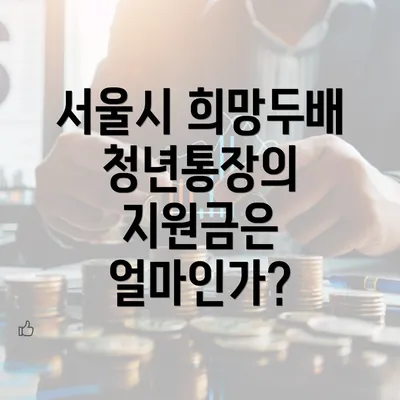 서울시 희망두배 청년통장의 지원금은 얼마인가?