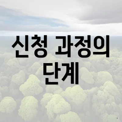 신청 과정의 단계