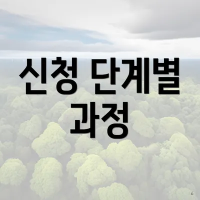 신청 단계별 과정