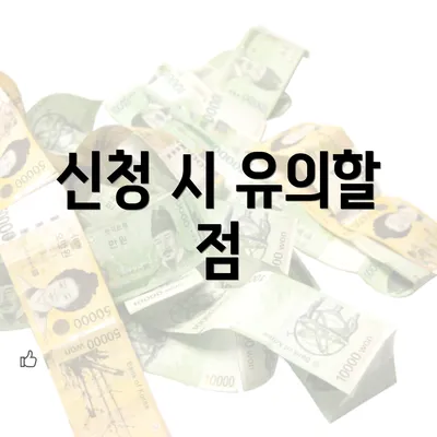 신청 시 유의할 점