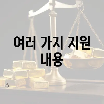 여러 가지 지원 내용