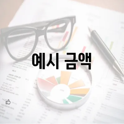 예시 금액