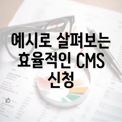 예시로 살펴보는 효율적인 CMS 신청