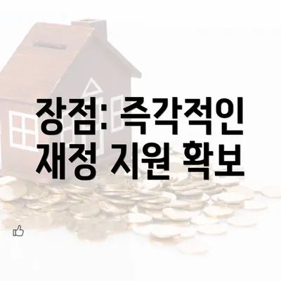 장점: 즉각적인 재정 지원 확보