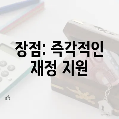 장점: 즉각적인 재정 지원