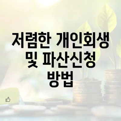 저렴한 개인회생 및 파산신청 방법