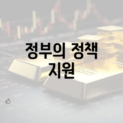 정부의 정책 지원