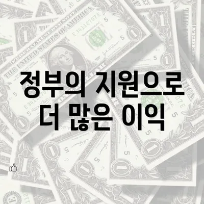 정부의 지원으로 더 많은 이익