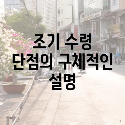 조기 수령 단점의 구체적인 설명